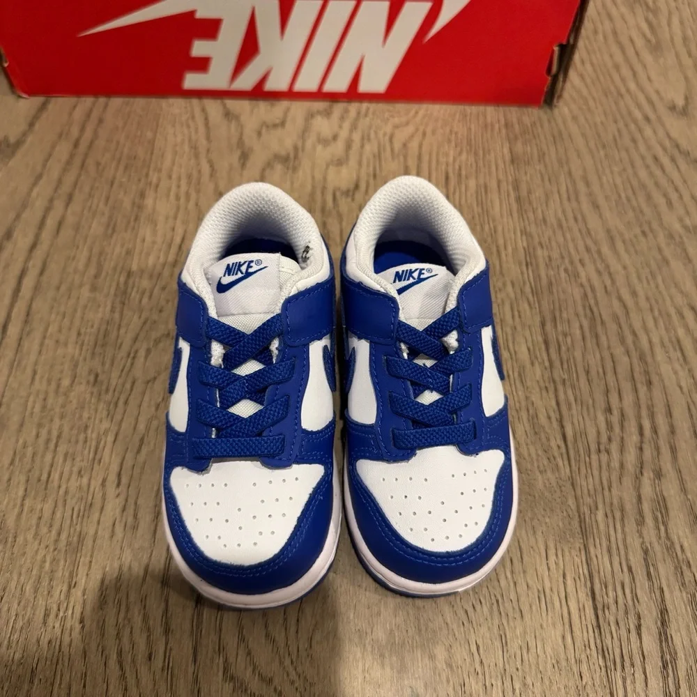Nike Dunk Low Blue White